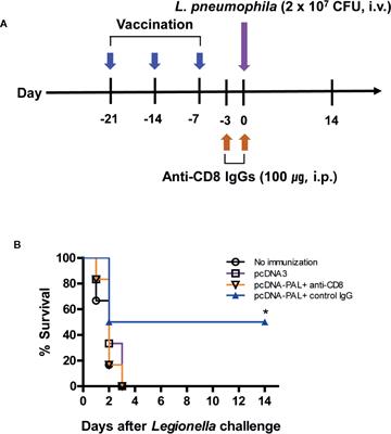 CD8+ T Cells Directed Against a Peptide Epitope Derived From Peptidoglycan-Associated Lipoprotein of Legionella pneumophila Confer Disease Protection